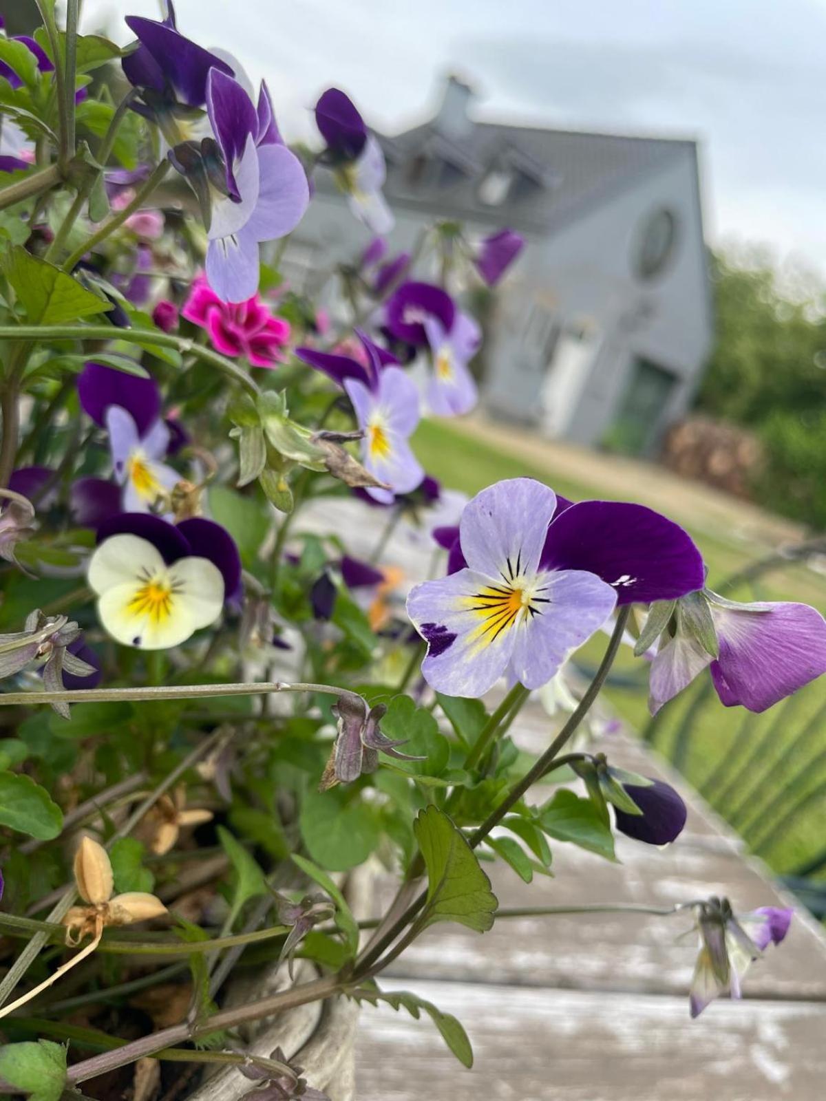 Guesthouse 'T Goed Leven Stokrooie Esterno foto