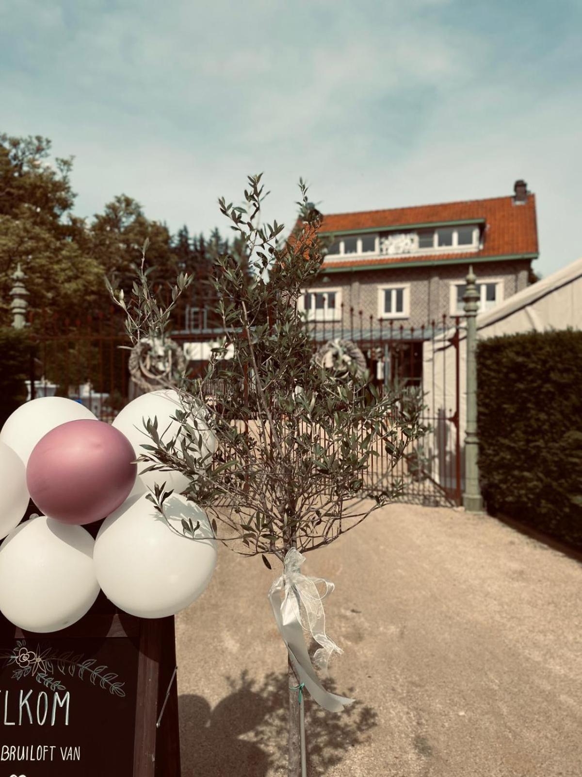 Guesthouse 'T Goed Leven Stokrooie Esterno foto